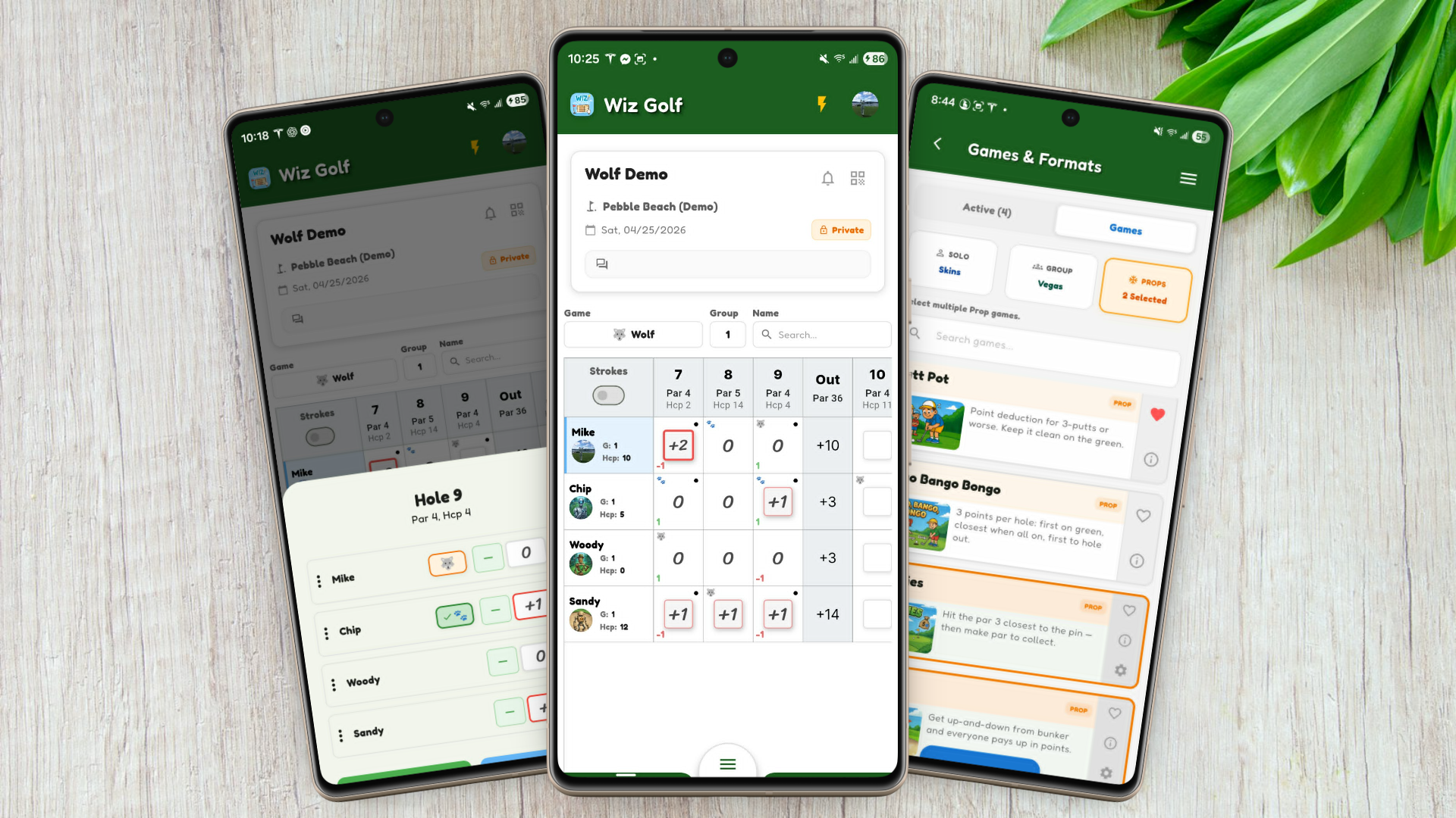Wiz Golf App Interface
